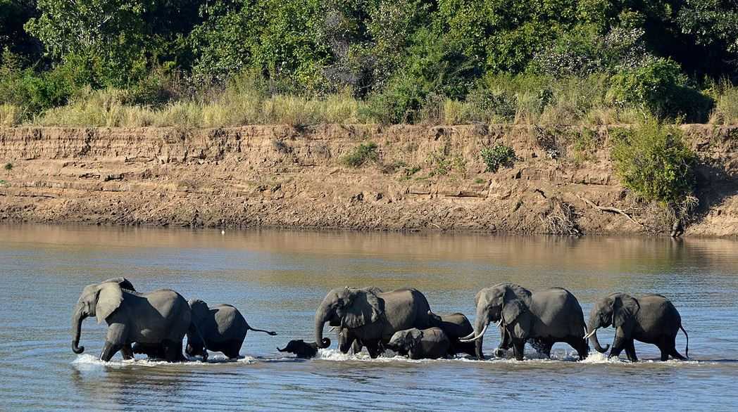 Top 10 Big Game Safari Destinations, South Luangwa National Park