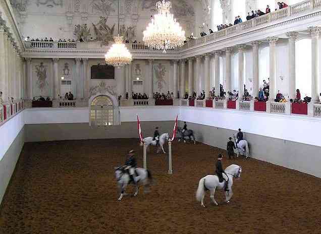 Spanish Riding School, tourist attractions in Vienna